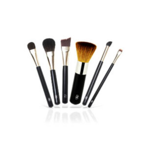 MAKEUP BRUSH SET | 6 PROFESSIONAL BRUSHES